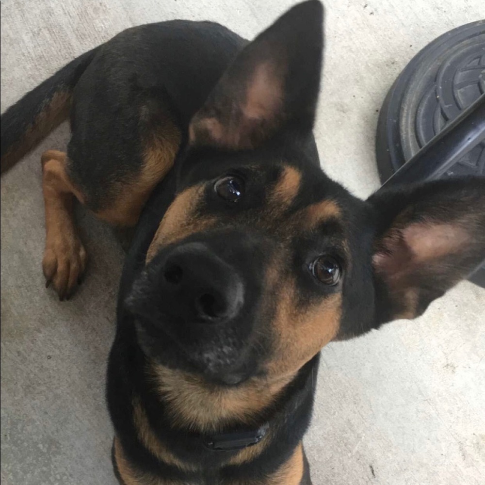 Meet your Posher, Britrney